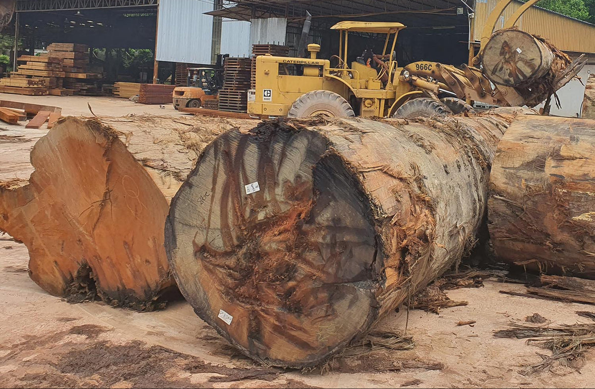 Balau Rostrum BALAU Wood – Kamwo Timber