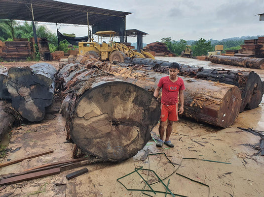 Chengal CHENGAL Wood – Kamwo Timber