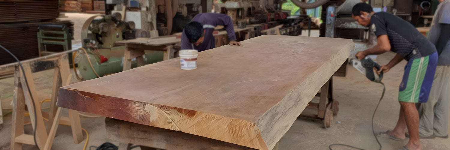 Few workers are sanding a large live edge wooden slab made out of merbau solid hardwood.
